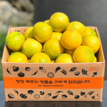 프리미엄 제주 서귀포 하우스 황금향, 1개, 가정용 1kg 소과 (6-8과 내외)
