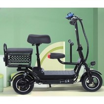 전기스쿠터 미니 소형 전기 출퇴근용 전동 스쿠터, 48V, 블랙 18암페어 2인승 75km