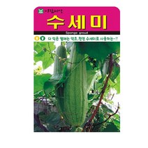 SN월드 씨앗 고급꽃씨 꽃씨앗, 고급 - 수세미(25립)