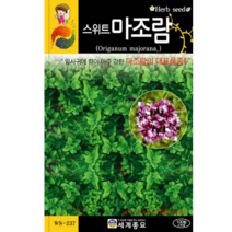스위트 마조람 씨 100립 허브 씨앗 종자