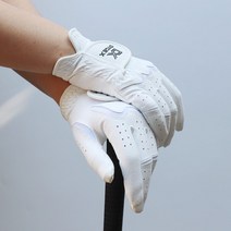 다이젝스 비스타 극세사 합피장갑 여성용 골프장갑, 22호