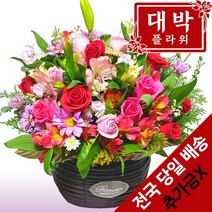 대박플라워 충분히예뻐 꽃바구니 생일선물 기념일 출산꽃선물 병문안 꽃배달
