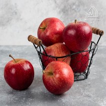 경북 가정용 사과 실중량5kg(17과내 대흠과), 단품