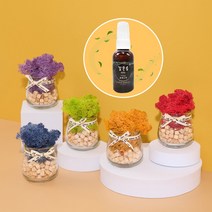 스칸디아모스 편백나무큐브 유리 화분 꽃병 편백모스