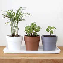 화담 토분 플리츠화분 토분화분 분갈이화분, 2호 화이트