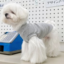 허리긴 강아지 민소매 목티 실내옷 목폴라티 이너티 나시 내복 닥스훈트 롱티 2XL까지, M, 그레이 민소매목폴라티