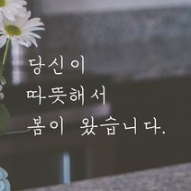 모노먼트 손글씨 감성 레터링 스티커 - 당신이 따뜻해서 봄이 왔습니다, 흰색