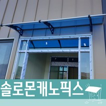 캐노픽스 1000x1400 햇빛 차양 고정식 어닝 외부차양 현관비가림 계단지붕 브라켓 차광막 주차장, 브라운앰보, 블루, 은백색