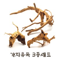 가지유목 3종세트 - 천연유목 레이아웃