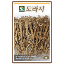 도라지씨앗 6g 산채 민속채 텃밭작물 가정원예 텃밭채소 뿌리채소