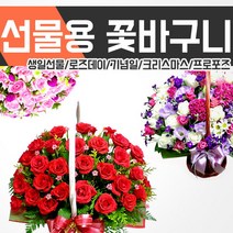 [젠틀맨플라워] /꽃바구니/옵션가NO/전국최저가/전국3시간이내당일발송/전국꽃배달서비스/화이, 꽃바구니선택:30.달콤한그대