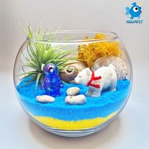 백곰과 친구들 - 틸란(이오난사) 원형볼 12cm 테라리움 DIY키트 세트, 청색