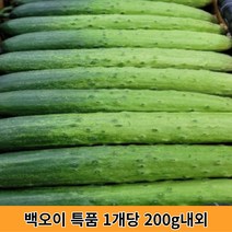 백오이 백다다기오이 오이소박이용 야채샐러드 특상품 가락시장당일상품 DR market, 30개, 백오이 특품