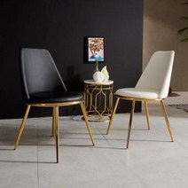 아트박스/티에스퍼니처 TS 모나코 골드 체어 2ea, 블랙/화이트