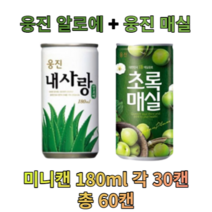 웅진 알로에&매실 180ml X 각30개(총60개) 과채 과즙 음료 업소용 소캔 미니캔 음료도매 착즙, 알로에 180ml 30캔 + 초록매실 180ml 30캔