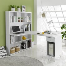 바클리 본체형책상세트, 워시