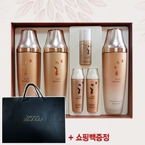 다나한 본연진 2종 기획세트 명절선물 화장품 스킨케어, 1개