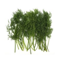 딜 Dill 50g 허브 향신료, 단품