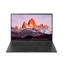 LG 2021 그램 17, 옵시디안 블랙, 코어i7 11세대, 512GB, 8GB, WIN10 Home, 17ZD90P-GX7BK
