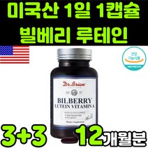 미국산 뉴테인 루테린 LUTEIN 마리골드 꽃 빌베리 헤마토코쿠스 추출물 안토시아닌 비타민 A E 직장인 청소년 부모님 50대 60대 눈 안구 건강 노안 노화 흐림 영양제 추천, 6박스(12개월분)