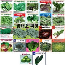 엔앤케이 쌈채류 씨앗/로켓셀러드(루꼴라)/새론케일/혼합쌈채/새론레드치커리/적치커리/청치커리/백경채/고려몸짱청경채/식용색비름 2g/레드러시안케일/만추콜라드케일/맛짱케일/레드치커리, 2.다농-새론케일 5g