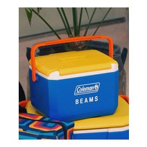 Coleman 콜맨 빔즈 테이크 6 캠핑 낚시 미니 휴대용 아이스박스 하드 쿨러박스 4.7L, 멀티
