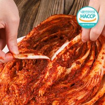 잘먹잘산 HACCP 까칠한박여사 갓 담근 맛있게 매운 김치 실비 김치, 5kg, 1개