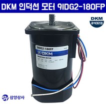 DKM 인덕션 모터 9IDG2-180FP 단상 220V 15파이 감속기타입