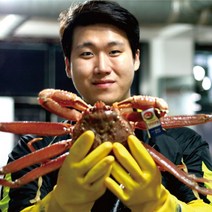 대한민국농수산 제철 박달 홍게 5마리, 박달홍게 (대) 5마리