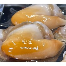 산지직송 자연산 여름진미 새조개 여수 노랑새조개 500g, 1개