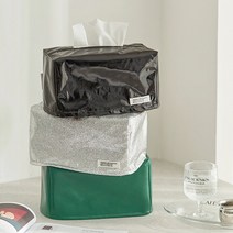 미드센츄리 모던 티슈케이스, 실버샤인