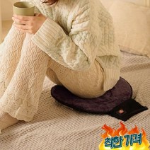 일본아이디어쇼 계 히터방식 방석