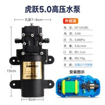 농사용 전동 분무기 충전기 약치는기계 농약 12V 볼트 펌프 모터 고압, 타이거점프 0.80MPa 고압펌프 + 1개