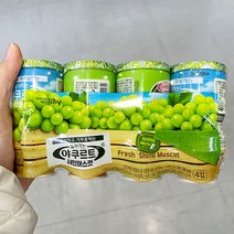 얼려먹는 야쿠르트 샤인머스캣 110ml x 4 X 3개, 아이스보냉백포장