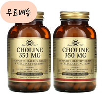 솔가 콜린 350m.g 100개 2통 Choline 주석산수소콜린, 100정, 2개