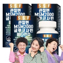 순수식품 관절 MSM 2000 글루코사민 비타민D 엠에스엠 3박스(180정), 60정, 3개, 60정