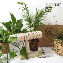 [KNOTXKNOT]남여 매듭 인연 316L 실버볼 팔찌 실팔찌