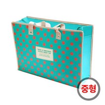 타포린백 지퍼 휴대용장바구니 마트 비닐가방 부직포 쇼핑백 중형 (신)민트도트