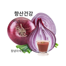 우포누리 (창녕) 자색양파즙100포 혈관팔팔 관절팔팔 감기예방 (자색양파즙.자연산붕어즙.호박즙칡즙.양배추즙.우슬닭발.배 도라지.비트즙), 120포, 110ml, 110