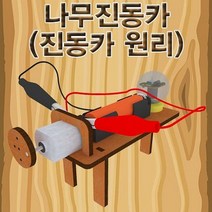 H&M 나무진동카 진동카원리 -일반형 LED형 물리학 에너지실험세트