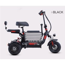 팻전기자전거 소형 접이식 전기 세발 자전거 미니 홈 운송 남녀공용 애완 동물 산책, 2.Black