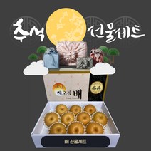 프리미엄 나주배 7.5kg 과일선물세트, 프리미엄 특특품 나주배 7.5KG 11~12수