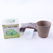 봉선화 키우기세트, 본상품선택