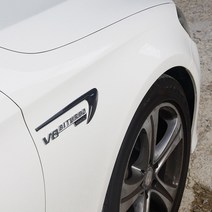벤츠 C E S클래스 GLC CLS 바이터보 엠블럼 몰딩, 휀다몰딩 (실버유광:2PCS)