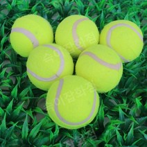 고급 강아지 자동 공놀이 공던지는 공던져주는 기계 자동공놀이 운동 기구 장난감, B, B