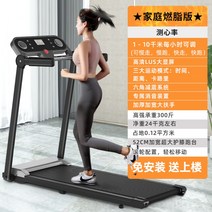 워킹패드 런닝머신 인클라인 트레드밀 무동력 러닝머신, 일반2