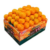 비가림 타이벡 감귤 5kg M크기 밀감 싱싱한 프리미엄, 상세페이지 참조