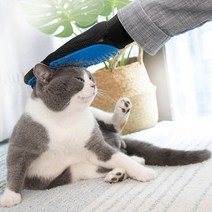 반려동물장갑 브러쉬 왼손 오른손 세트 애완동물 털관리 털갈이 매직글러브 장갑브러쉬, No.01 장갑 브러쉬 퍼플, No.01 장갑 빗어보개 브러쉬 세트 퍼플