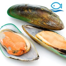 바다더해 뉴질랜드 그린홍합 800g 홍합 찜 탕 구이 요리 초록잎 반탈각, 단품