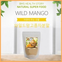 BMS 와일드망고분말 200g 와일드망고가루 파우더 아디포넥틴 랩틴 렙틴 망고종자 덤불망고 야생망고 아프리카망고 망고종자추출물, 단품